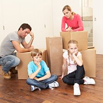 n20 business removals