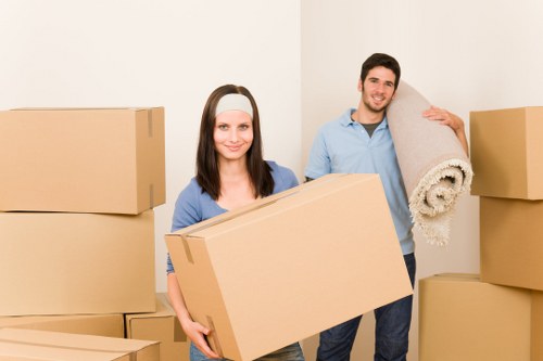 Checklist and packing supplies for a house move