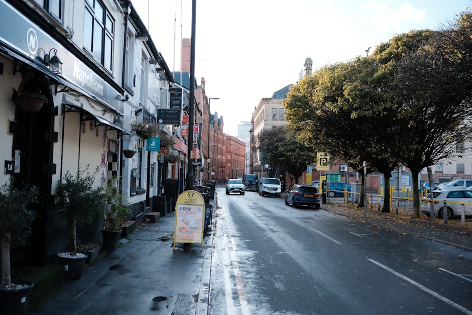 A street scene on Oakleigh Road North in Whetstone during daylight hours, showing a narrow asphalt road with parked cars on the right side and a few moving vehicles. The pavement on the left side features several potted plants and outdoor signage for local businesses, including a pub with a black sign and hanging lanterns. Large, well-established trees with green foliage line the sidewalk on the right, casting partial shadows on the street. In the background, there are brick and stone buildings with multiple stories, typical of residential and commercial architecture in the area. The weather appears clear, with bright natural light illuminating the scene. This setting reflects a typical urban environment suitable for home relocation and furniture transport, as part of a professional moving process by Man with Van Whetstone, capturing the typical street environment involved in organizing house removals and packing and moving logistics.